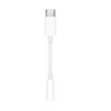 Adaptateur USB-C Vers Jack 3,5 Mm Premium