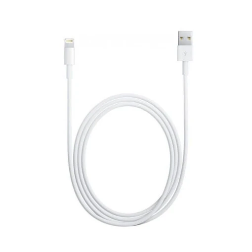 Câble USB Lightning 3 Mètres, Charge Rapide - Image 2