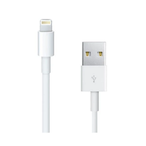 Câble USB Lightning IPhone Et IPad