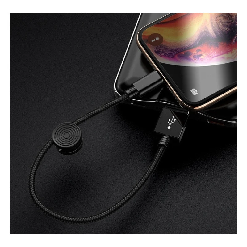 Câble Lightning 25 Cm Pour IPhone & IPad 5 Câble Lightning 25 Cm Pour IPhone & IPad - Image 3