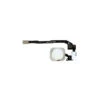 IPhone 5S Et SE : Nappe Complète Avec Bouton Home Blanc -TechNest Store iphone 5s nappe complete avec bouton home blanc piece detachee